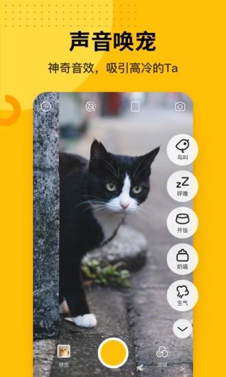 爪叽app截图
