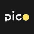 Pico图像标注