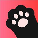 呼呼语音交友手机版