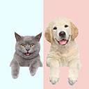 狗猫语翻译器 · 人猫交流器手机版