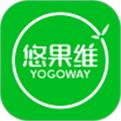 悠果维app