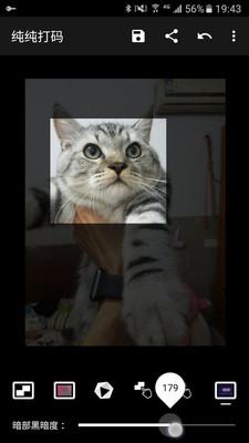 纯纯打码截图