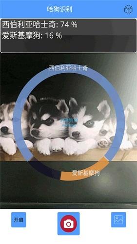 狗狗识别截图