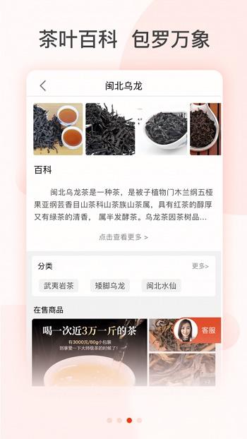 茶吉送截图