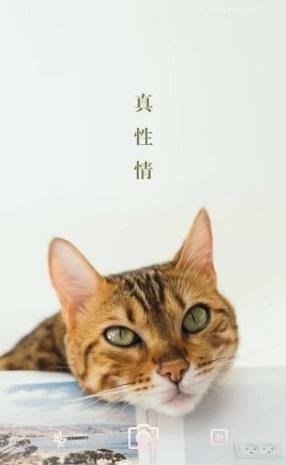 美妆镜子截图