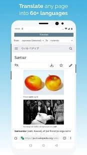 kiwibrowser浏览器截图