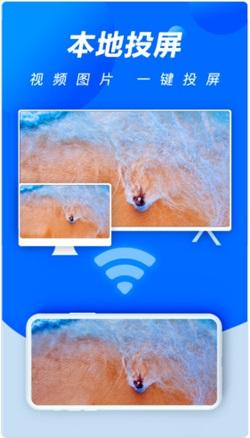 紫中手机投屏大师截图