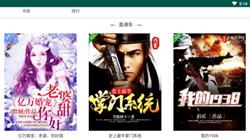 桃花小说截图