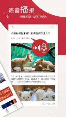 新时报app截图