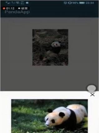 大熊猫认脸截图