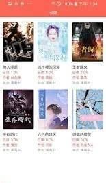 红石阅读截图