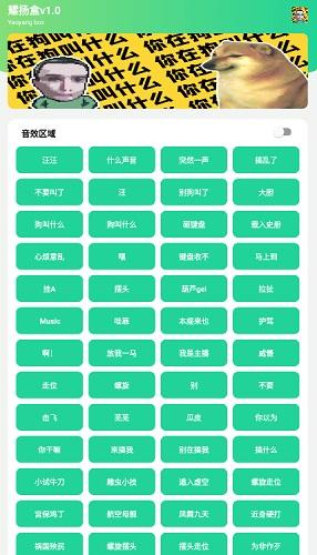 耀扬盒