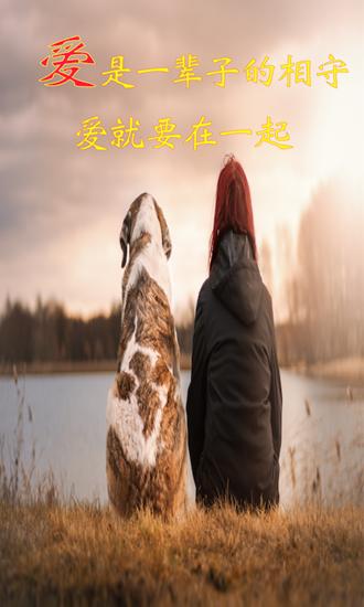 米族人猫交流器截图