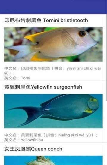 海底博物馆截图