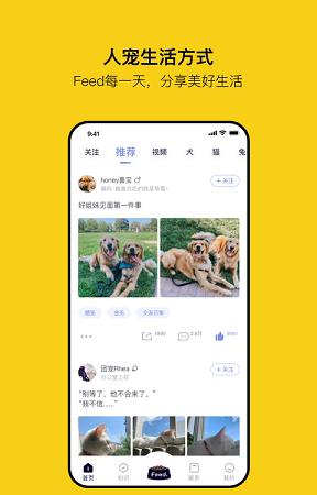 Feed截图