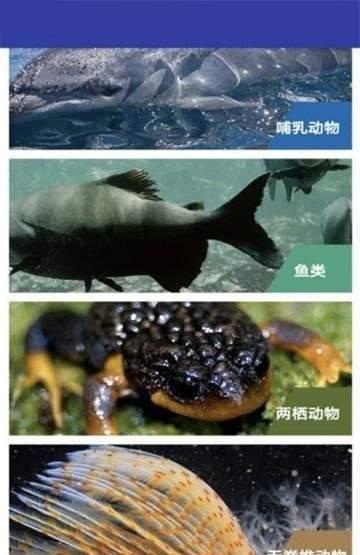 海底博物馆截图