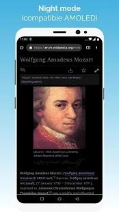 kiwibrowser浏览器截图