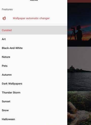 WALLPY截图