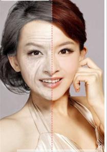 老年时光机截图