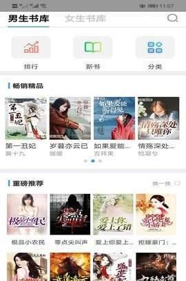右手小说截图