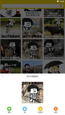 趣玩头像截图
