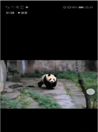 大熊猫认脸截图