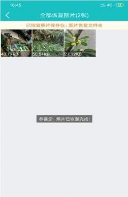 相片恢复截图
