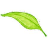 xposed installer框架