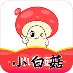 小白菇