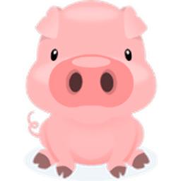 嗨猪