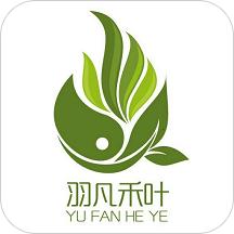 羽凡禾叶