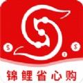 锦鲤省心购 锦鲤省心购