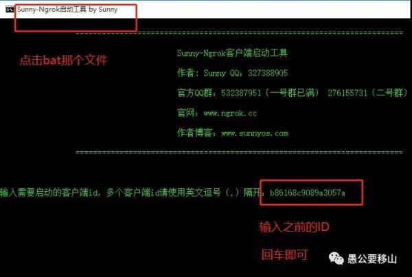 五分钟实现外网访问你的本地Web项目