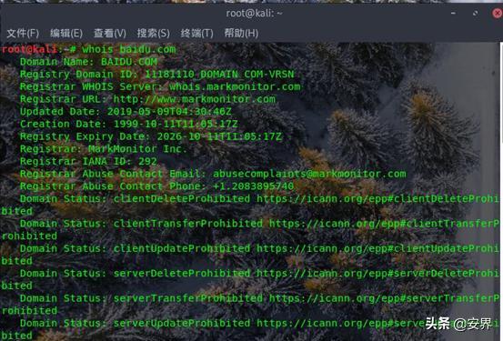 黑客渗透前奏，信息收集之域名采集
