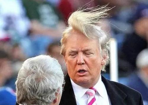 REvil黑客称卖掉特朗普的数据，现目标为食品供应商？