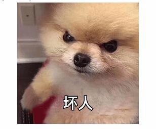 推特最大规模黑客入侵的主犯曝光!居然是个17岁小混混?