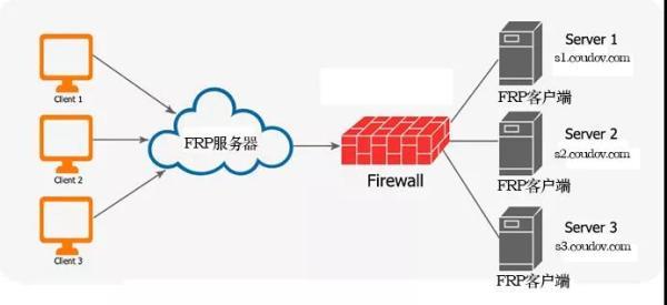 FRP指定访问者：安全地暴露内网服务