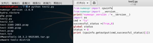 Python代码审计实战案例总结之反序列化和命令执行