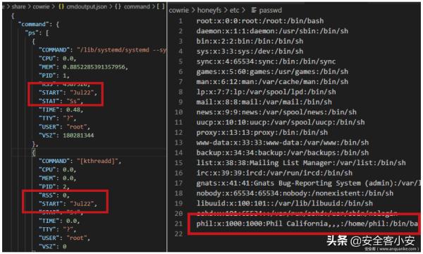 浅析开源蜜罐识别与全网测绘