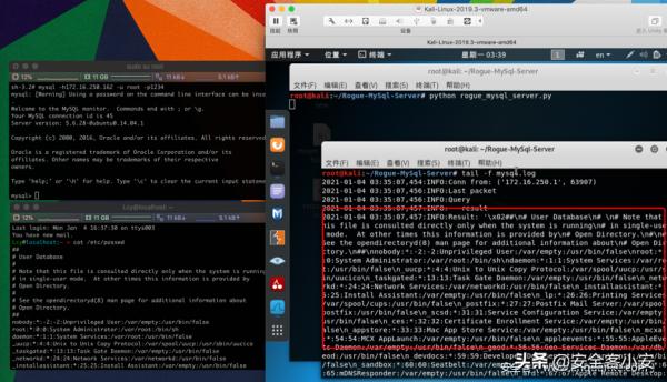 浅析开源蜜罐识别与全网测绘