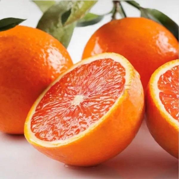 360漏洞响应平台“亿万守护计划“上线啦!邀你一起开启荣耀守护之旅