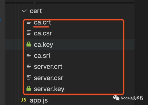 自定义根证书颁发机构 CA 生成自签名证书