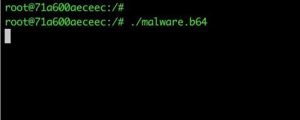 黑客利用Metasploit Shellcode攻击暴露的Docker API