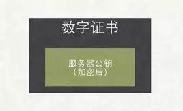 也许，这样理解HTTPS更容易！