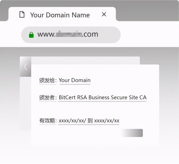要配置SSL证书,不知道买哪种好?5分钟教你成为“买证”大神