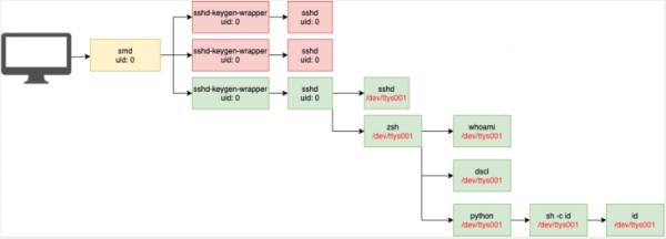 通过进程监控检测SSH活动