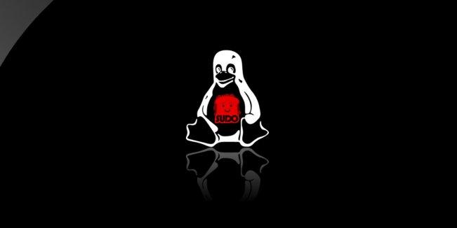 CVE-2021-3156：存在10年的sudo bug