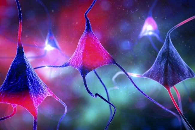 在冠状病毒疫情蔓延下 企业如何应对安全威胁