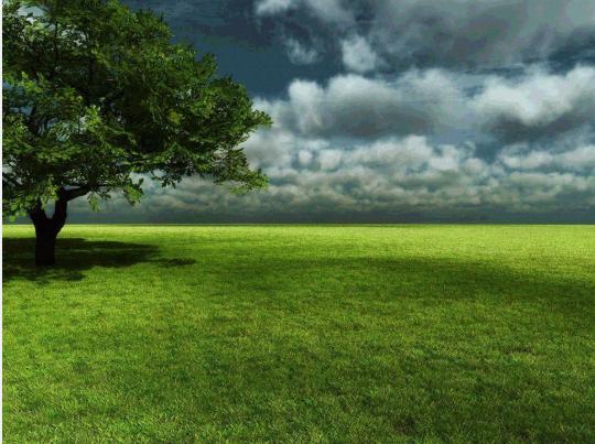 Purple Fox攻击流程中增加了新的CVE、隐写术和虚拟化技术