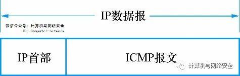 网络安全编程：原始套接字的使用